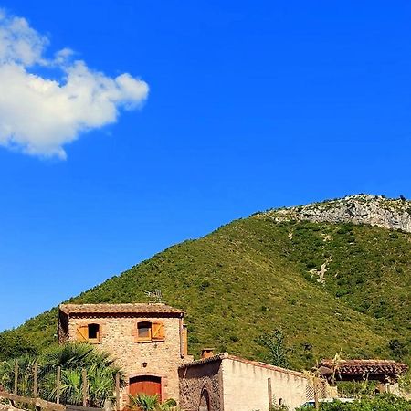 Corral D'En Romagosa Guest House Begues Ngoại thất bức ảnh